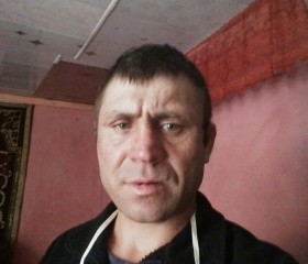 Денис, 42 года, Шымкент