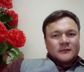 Гена, 38 лет, Волгоград