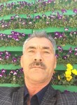 Mustafa, 55 лет, Esenyurt