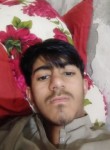 Amir, 18 лет, فیصل آباد