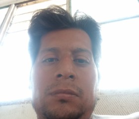 Armando, 31 год, Fortín de las Flores