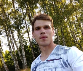 Виктор Лебедев, 29 лет, Иваново