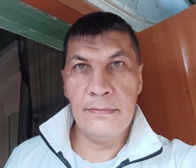 Ринат, 45 лет, Челябинск
