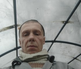 Сергей, 46 лет, Горад Гомель
