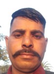 Naresh Kumar, 37 лет, Chandigarh