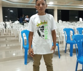 Dhonison04, 20 лет, Belém (Pará)