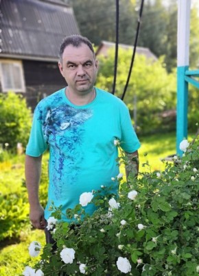 Дмитрий Иванович, 55, Россия, Солнечногорск