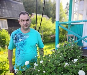 Дмитрий Иванович, 55 лет, Солнечногорск