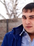 денис, 27 лет, Димитровград