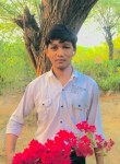 Vikas, 18 лет, Faridabad