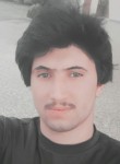 شاكر الجميلي, 24 года, الموصل الجديدة