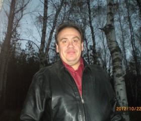 МИХАИЛ, 51 год, Воронеж