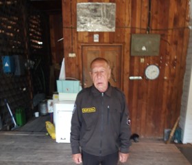 Владимир, 60 лет, Өскемен