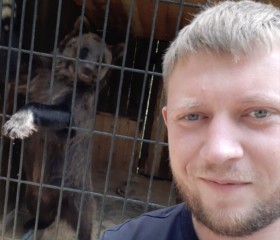 Михаил, 29 лет, Петрозаводск