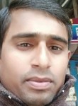 Shekhar, 28 лет, Kanpur