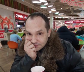 Станислав, 42 года, Тольятти