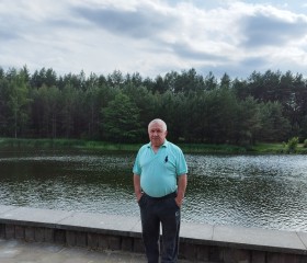 Николай Литвинов, 66 лет, Горад Мінск