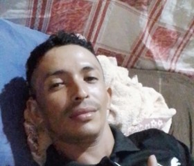 gato, 19, Santa Cruz