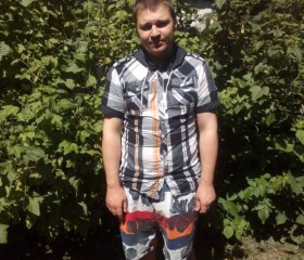 Александр Наливайко , 31 год, Краснознаменск (Калининградская обл.)