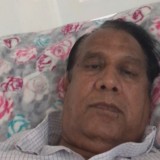 Rayudu, 46  , Saratoga
