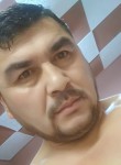 Adel - Калининград