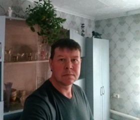 Владимир, 44 года, Сатка