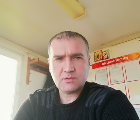 Денис, 45 лет, Гагарин