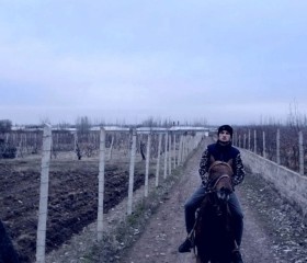 Andrey, 21, Volokolamsk