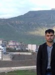 Tamer, 22 года, شهرستان ارومیه