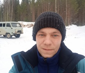 Станислав, 38 лет, Няндома