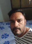 Karn Saini, 39 лет, Jalandhar