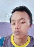 Hidayat, 23 года, Kabupaten Lumajang