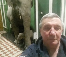 Виктор Зайцев, 73 года, Москва
