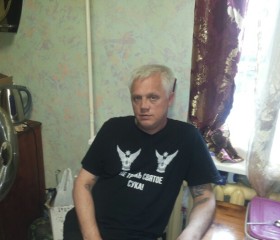 Сергей, 53 года, Порхов