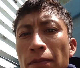 Luis Carlos Gil, 29 лет, México Distrito Federal