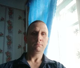 Рафаиль Тимошев, 49 лет, Хабаровск