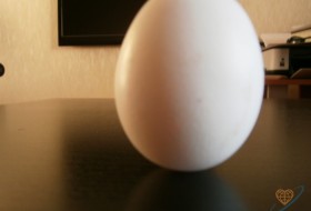 Александер, 41 - Вертикальное яйцо