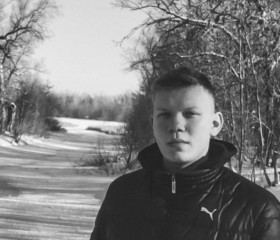 Виктор, 21 год, Новосибирск