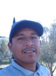 Mario, 39 лет, México Distrito Federal