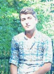 Sinan, 29 лет, Туринская Слобода