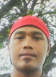 Dendi, 27 лет, Kota Surabaya