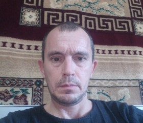 Андрей, 41 год, Шымкент
