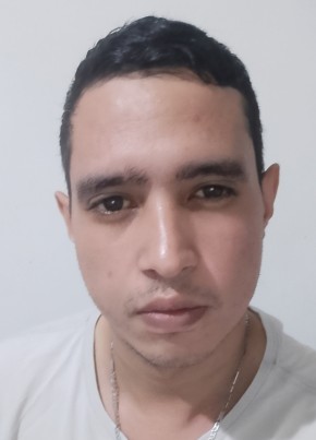 Daniel из Rio de Janeiro 26 лет