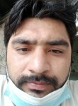 Zeeshan Khan, 29 лет, عجمان