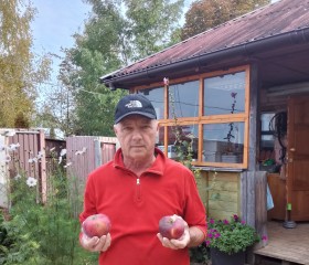 Виктор, 70 лет, Великий Новгород