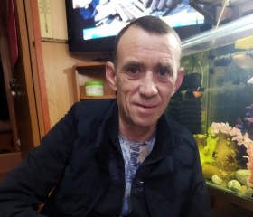 Сергей Моренко, 56 лет, Егорлыкская