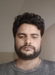 Sanjay, 28 лет, Ludhiana