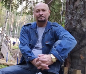 Andrey, 49, Kirov (Kirov)