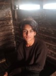 Amit, 18 лет, Patiāla