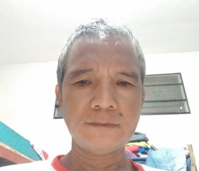 Henry Caguioa, 56 лет, Lipa City